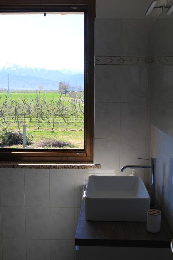 Casa Dell'Amicizia Apartment Castellani ภายนอก รูปภาพ