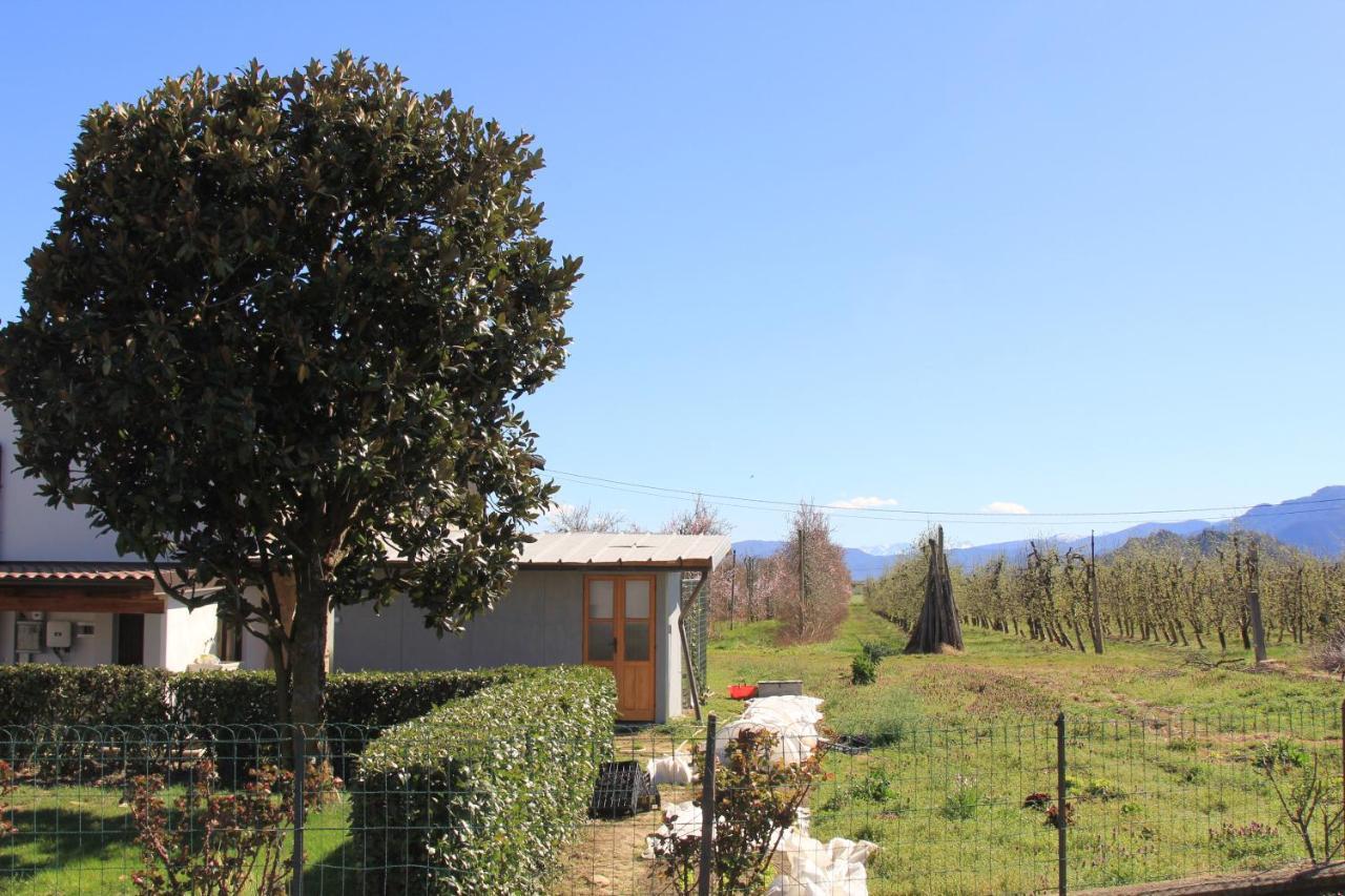 Casa Dell'Amicizia Apartment Castellani ภายนอก รูปภาพ